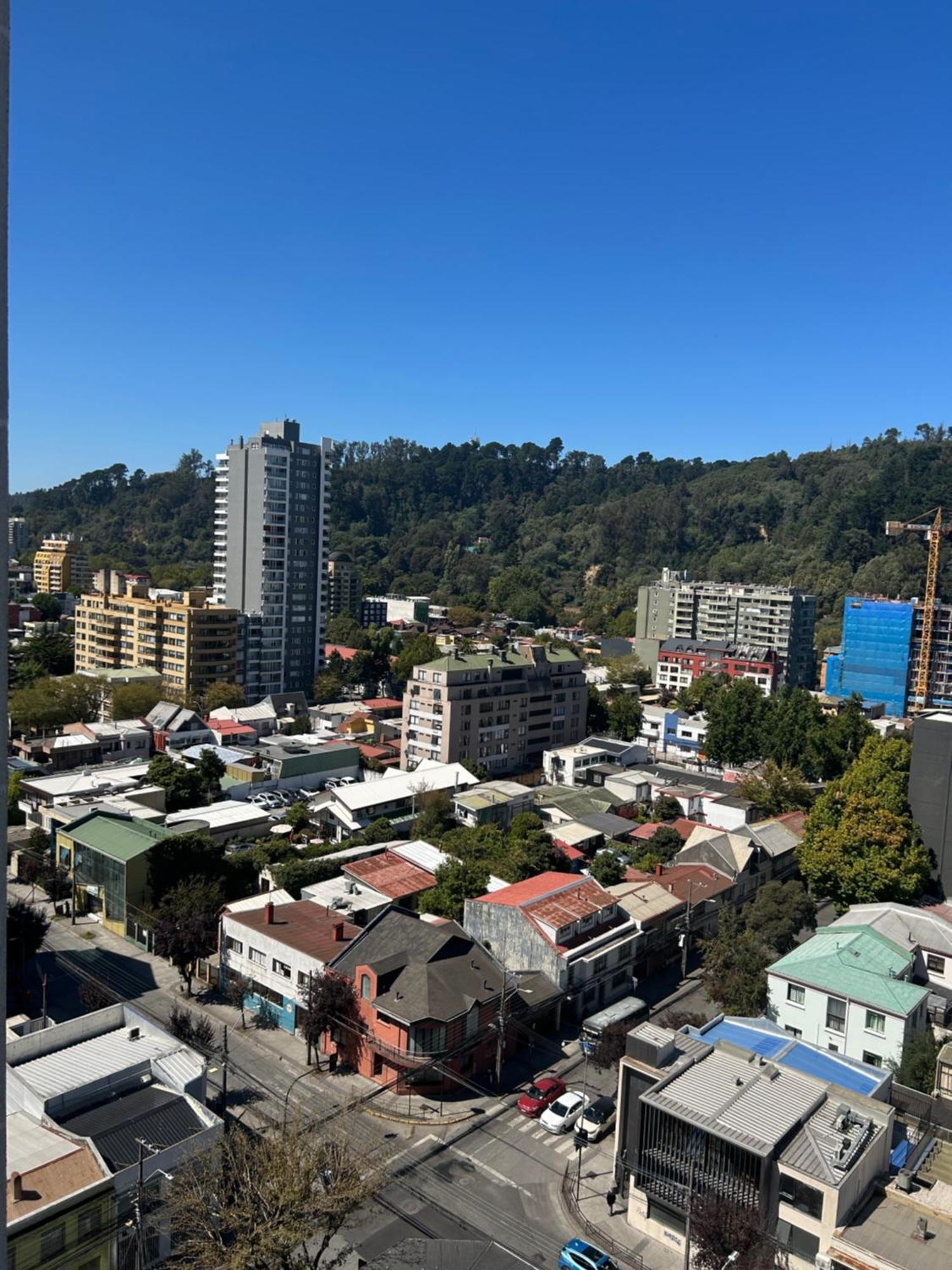 Apartamento Maravilloso Departamento En Centro De Concepción